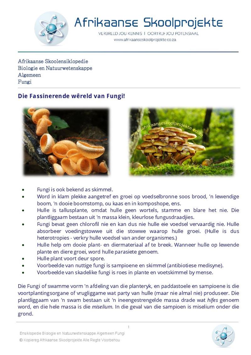 Afrikaanse Skoolensiklopedie