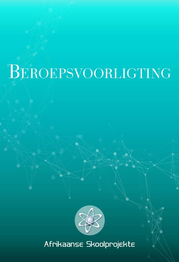 Beroepsvoorligting